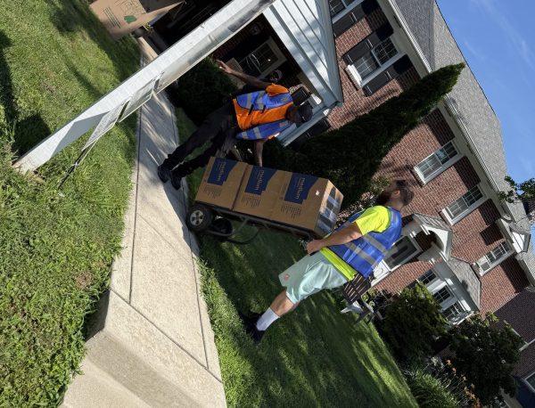 Professional Delaware County movers transporting boxes from a residential home